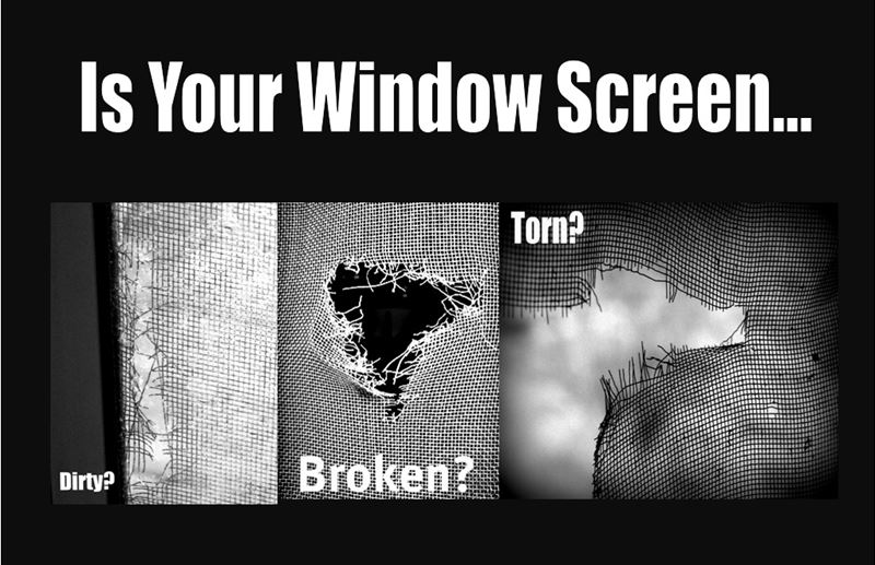 Window Screen Repair